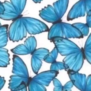 Meet your Posher, Kerenza